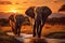 Evening scene elephants crossing Olifant River in Amboseli National Park