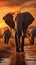 Evening scene elephants crossing Olifant River in Amboseli National Park