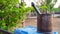 Evening shot, Iron mortar and pestle isolated on nature background. Still life concept