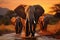 Evening shot in Kruger National Park elephants crossing the Olifant River
