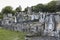 Evening shot of New Calton Burial ground in Edinburgh, Scotland, United Kingdom.