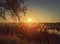 Evening silence at the lake with a view to the sundown over the fluffy dry reed. Idyllic sunset scene, natural background