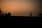 Evening silhouette landscape with plants and Trees in Kaziranga National Park Assam India