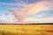 The evening sky during sunset, the clouds turned red. Below is a field of yellowed ripe rural grasses