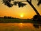 Evening sky sunset water ground tree image