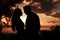 Evening skys backdrop frames serene couples touching silhouette scene