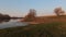 Evening spring landscape wih flowering broadleaf tree in wheat field and water line of large shallow artificial fish pond.