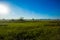 Evening summer field landscape. Beautiful sunset or sunrise over green summer field meadow