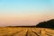 Evening summer field with more straw bales