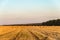 Evening summer field with straw bales