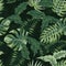 Evening summer jungle tropical leaves seamless pattern