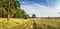 Evening summer landscape with lush pine tree on the banks of river and dirt road, Russia, Ural