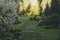 Evening summer walk in garden with curvy stone pathway and wooden archway.