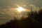 Evening sun above the dunes