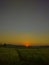 the evening sun sets on the edge of the rice fields