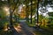 Evening sun shines through trees next to an idyllic footbath in OvelgÃ¶nne, Germany