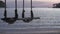 evening sun shining Sea wave on the sunset beach and Wooden swing hang