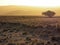 Evening sunlight atmosphere of vast dried grassland desert landscape with gemsbok herd, big tree and mountain background