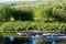 Evening Sunlight over the River Wharfe, Conistone, Wharfedale, Yorkshire Dales, England, UK