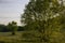 Evening sunlight in Tennessee rural country landscapes