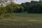 Evening sunlight in Tennessee rural country landscapes