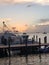 Evening Sunset Bahamas Island Dock