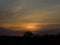 Evening sunset an orange glow above a tree