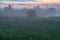 Evening thick fog over field and forest. Landscape of the evening sky with orange and blue sky and fog.
