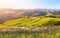 Evening in Tuscany. Hilly Tuscan landscape in golden mood at sunset time with silhouettes of cypresses and farm houses