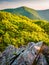 Evening view of Hawksbill Mountain, from Betty\'s Rock in Shenand
