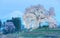 Evening view of illuminated Wanitsuka Sakura (a 300 year old giant cherry tree) on a hill with snow-capped Mount Fuji