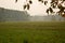 Evening view of kerala village paddy field