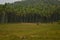 Evening view of kerala village paddy field