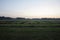 Evening view on machine mowed meadow, hay stored in long rows