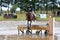 Eventing Championship