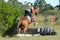 Eventing Equestrian in the country