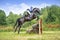 Eventing: equestrian rider jumping over an a brance fence obstacle