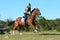 Eventing horse galloping