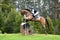 Eventing horse jumping log