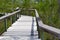 Everglades Boardwalk