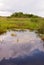 Everglades Canal Landscape