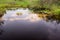 Everglades Canal Landscape