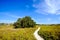 Everglades Coastal Prairies