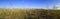 Everglades Cypress Landscape Panorama