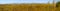 Everglades Cypress Landscape Panorama