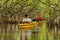 EVERGLADES, FLORIDA, USA - AUGUST 31: Tourist kayaking in mangro