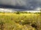 Everglades Landscape - 12