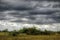 Everglades Landscape, clouds