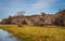 Everglades Landscapes