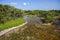 Everglades Mangroves